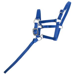 product/L/S/LSF01-BLEU ROI.jpg